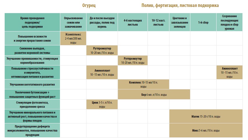 Схема кормления томатов удобрениями