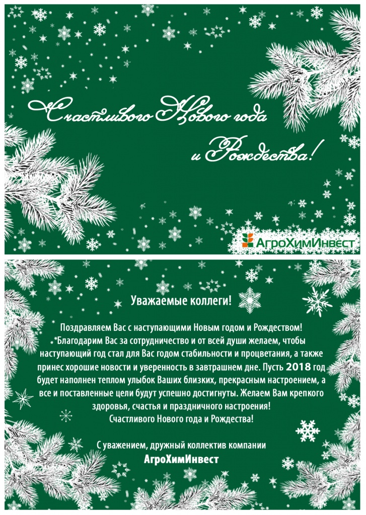 С Новым Годом 2018.jpg