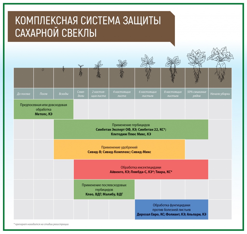 Схема посева сахарной свеклы